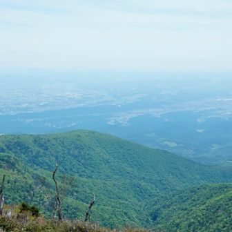 山頂より