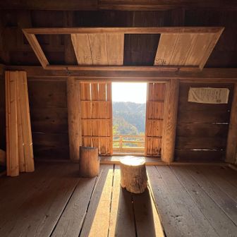 お賽銭しました