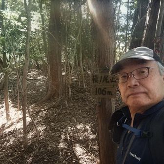 展望ないのですぐに下ります