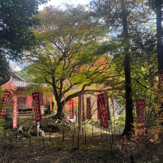 紅葉に映える立石稲荷のお堂