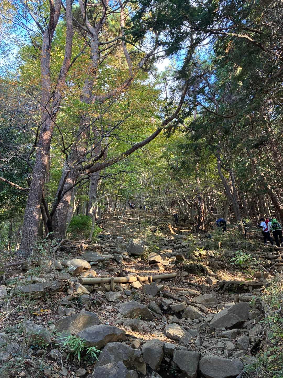 大倉登山口-鍋割山-塔ノ岳 周回コースの写真