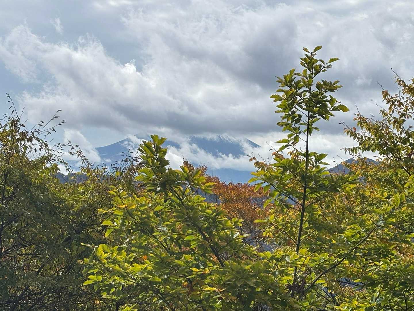 富士山サービス終わりかな？