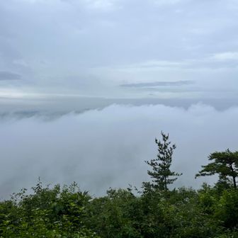 各務原方面は真っ白け☁️