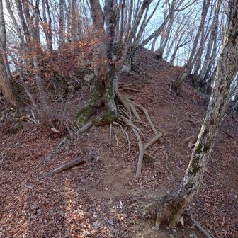 ここは無名のピーク
写真で見ると優し気ですが、生で見たときは可成り凶悪な雰囲気でした😅