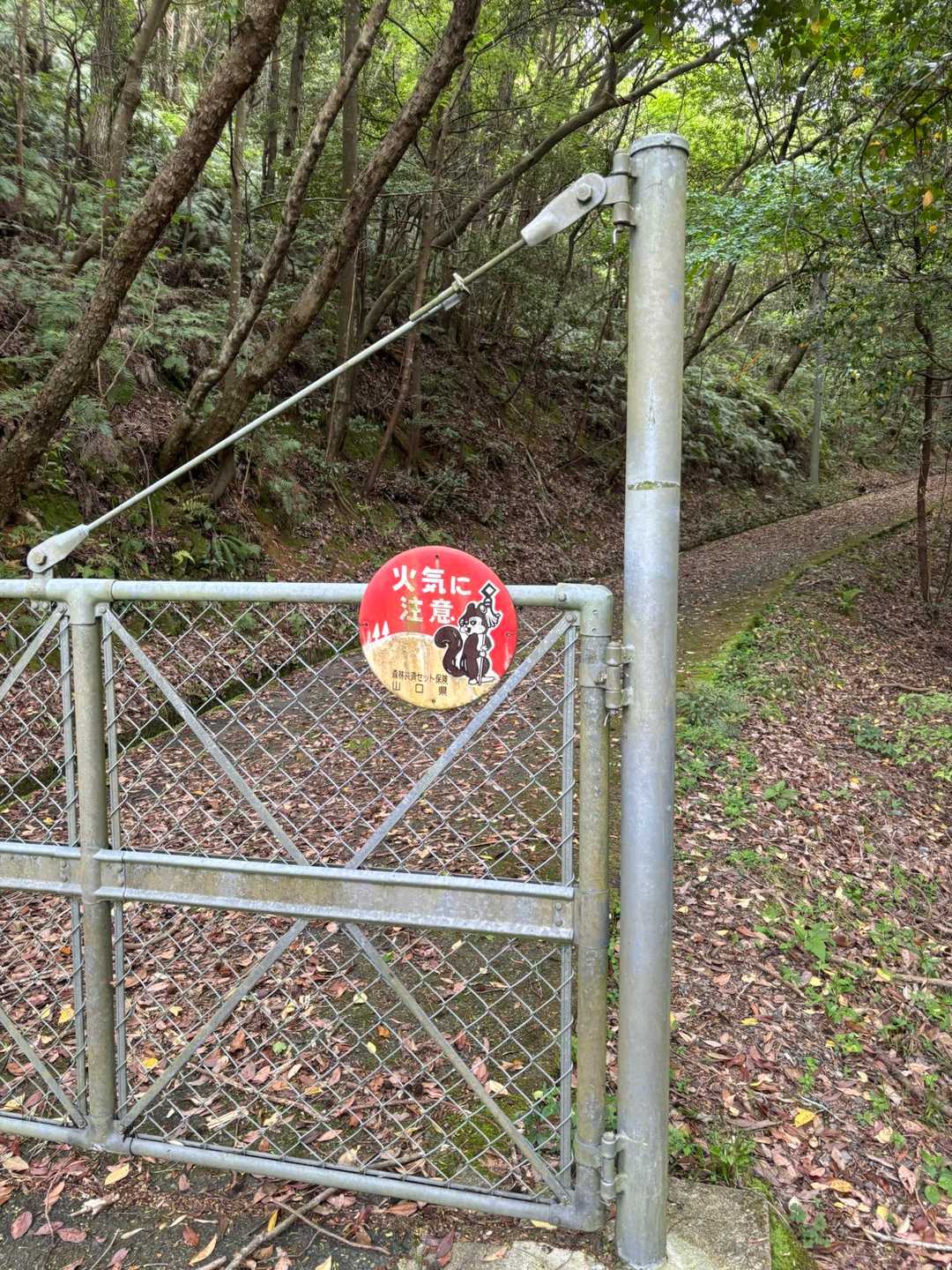 ここの横から