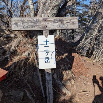 来ましたよ⛰️
300座目⛰️登頂🎉