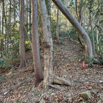 薮を漕いでトラバースして滝ノ沢ノ頭の尾根にのってほっとする
振り返って高ドッケを見るとそこからも降りることができそうだけど詳細図には「危険」とあった