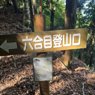 ここが0号目登山口からの合流地点でしょうか🤔