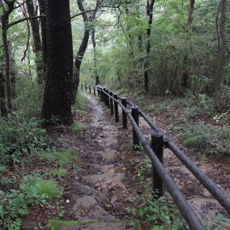 結構な距離の区間で手摺りが設置されている。リッチな道。