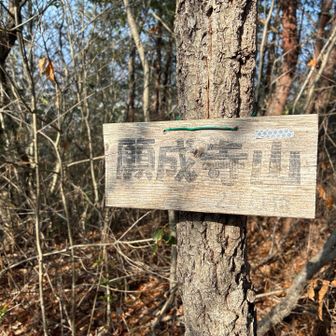 願成寺山に到着。本日２座目。