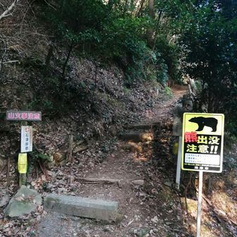 熊の看板あったかな？