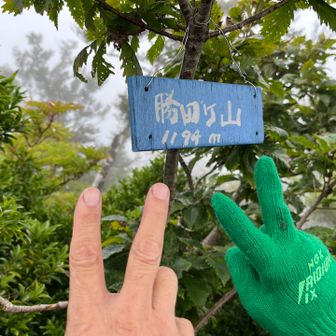 ここも勝田ケ山⛰️