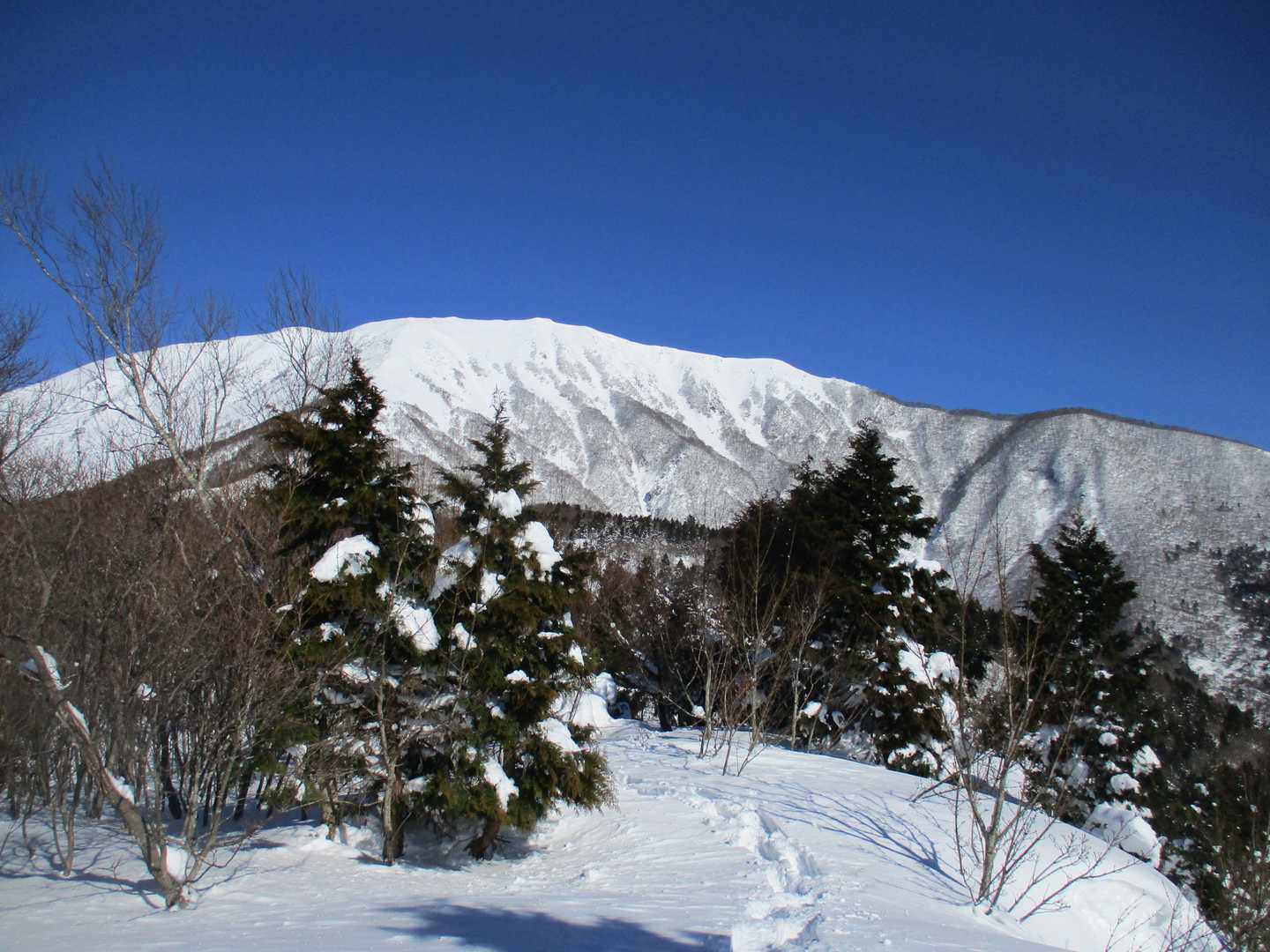 上平寺ルート登山口-京極氏遺跡-弥高山 往復コースの写真