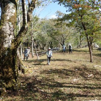 横才越、以前標識があったはずだが見当たらなかったと思ったが。