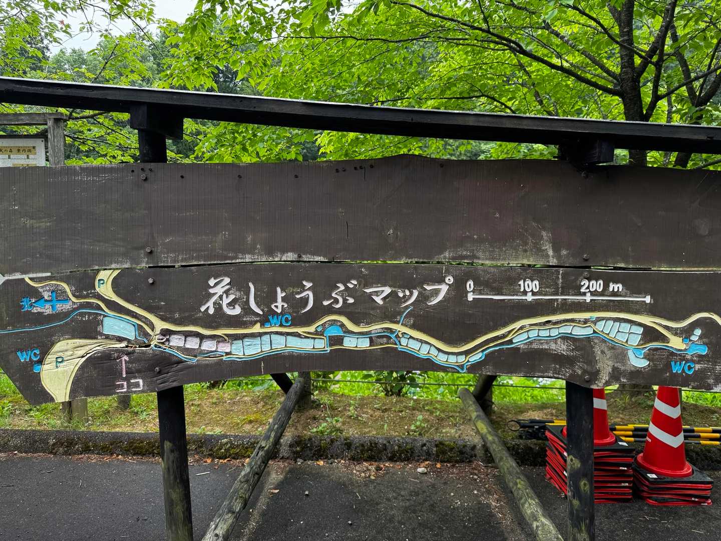 到着しました
木彫りのマップ、ナイスです👍