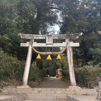 ここからスタート