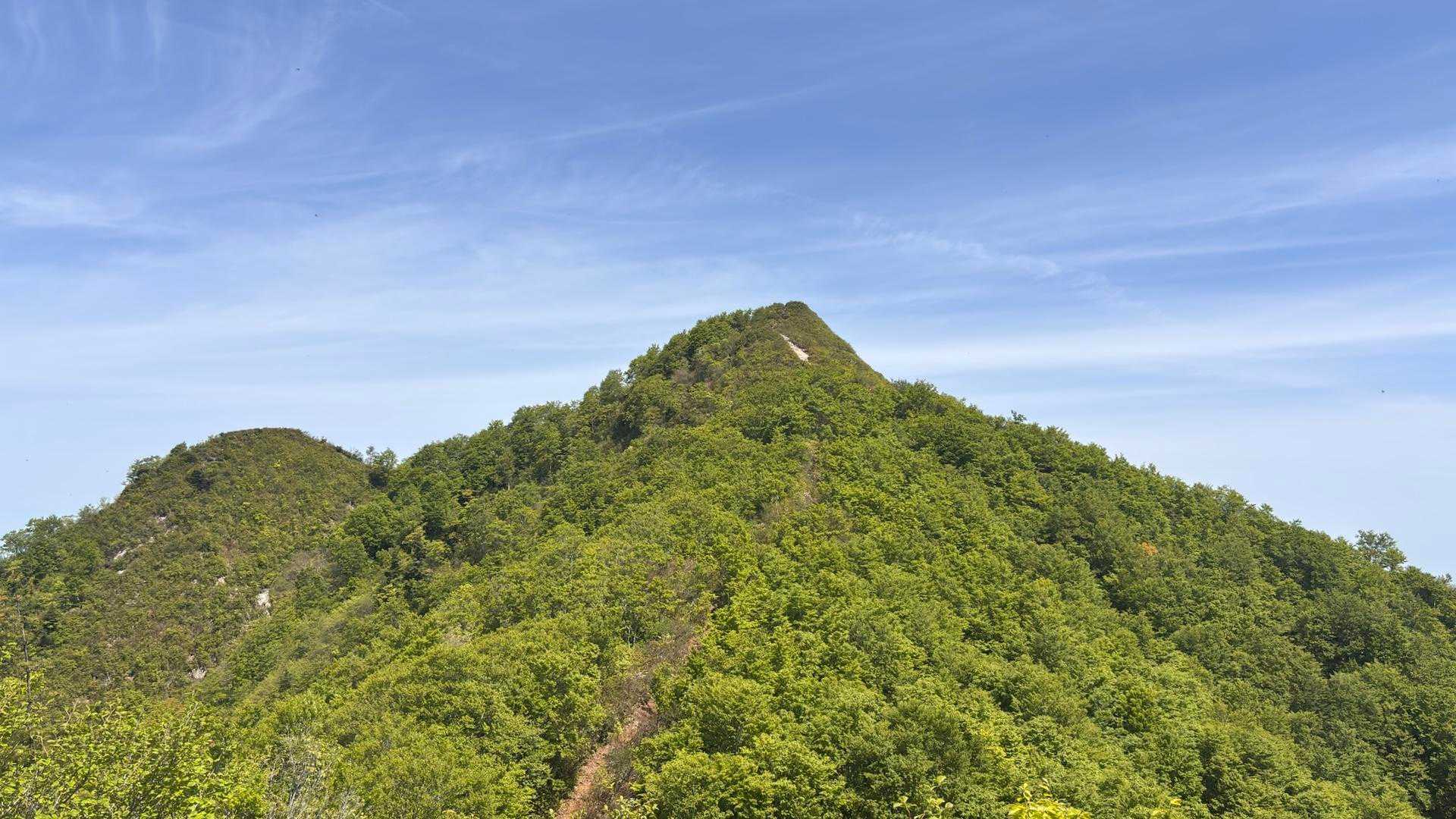 山頂が見えてきました