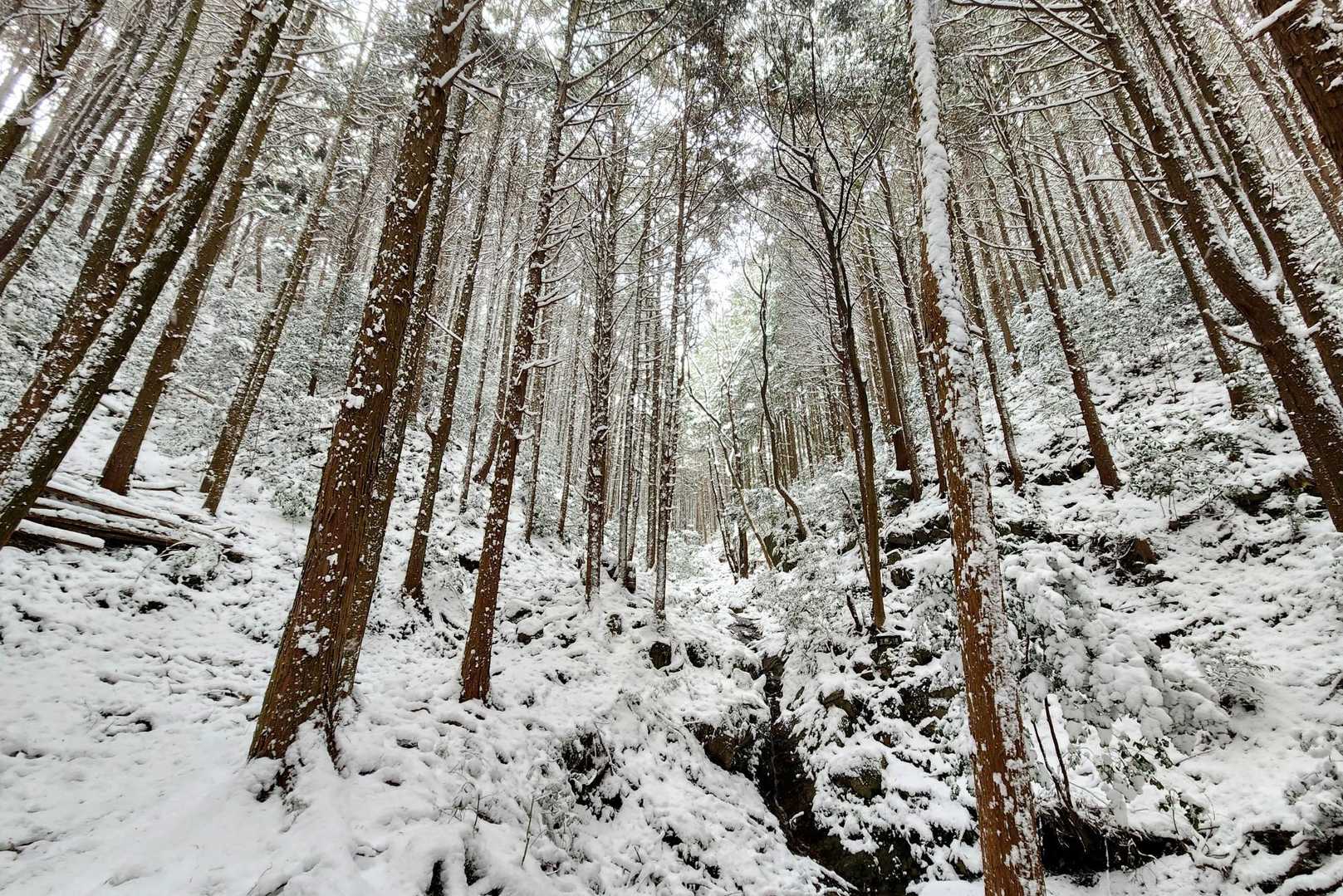 正現岳-金立山 往復コースの写真