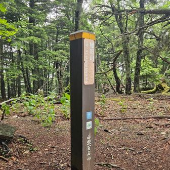 櫛方山・山頂
周りは、ガス🌫️に 覆われて
晴れていれば、🗻富士山が 良く見えるのですが　😵
