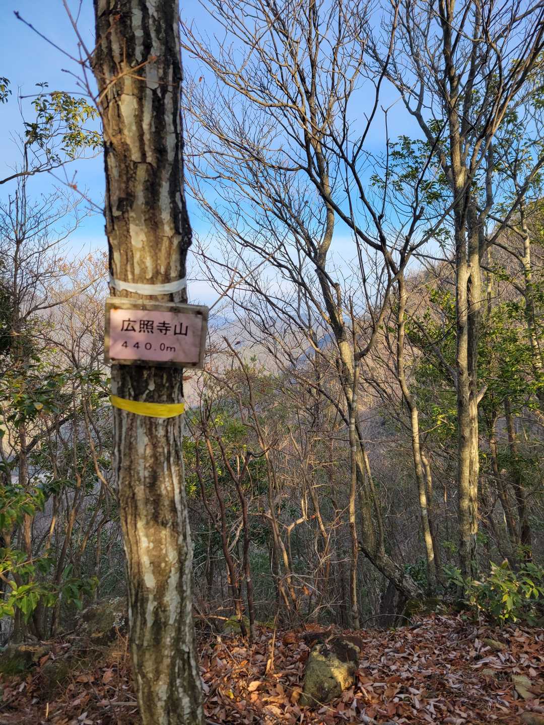 広照寺山（兵庫県三田市）の写真
