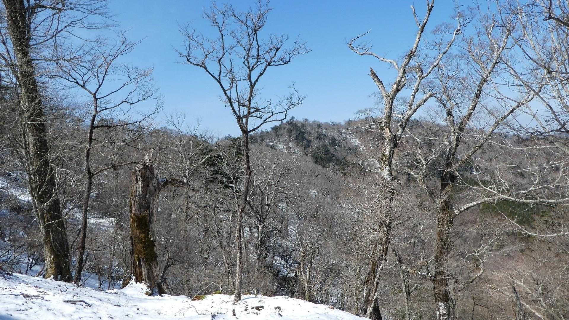 広河原登山口-国見岳 往復コースの写真