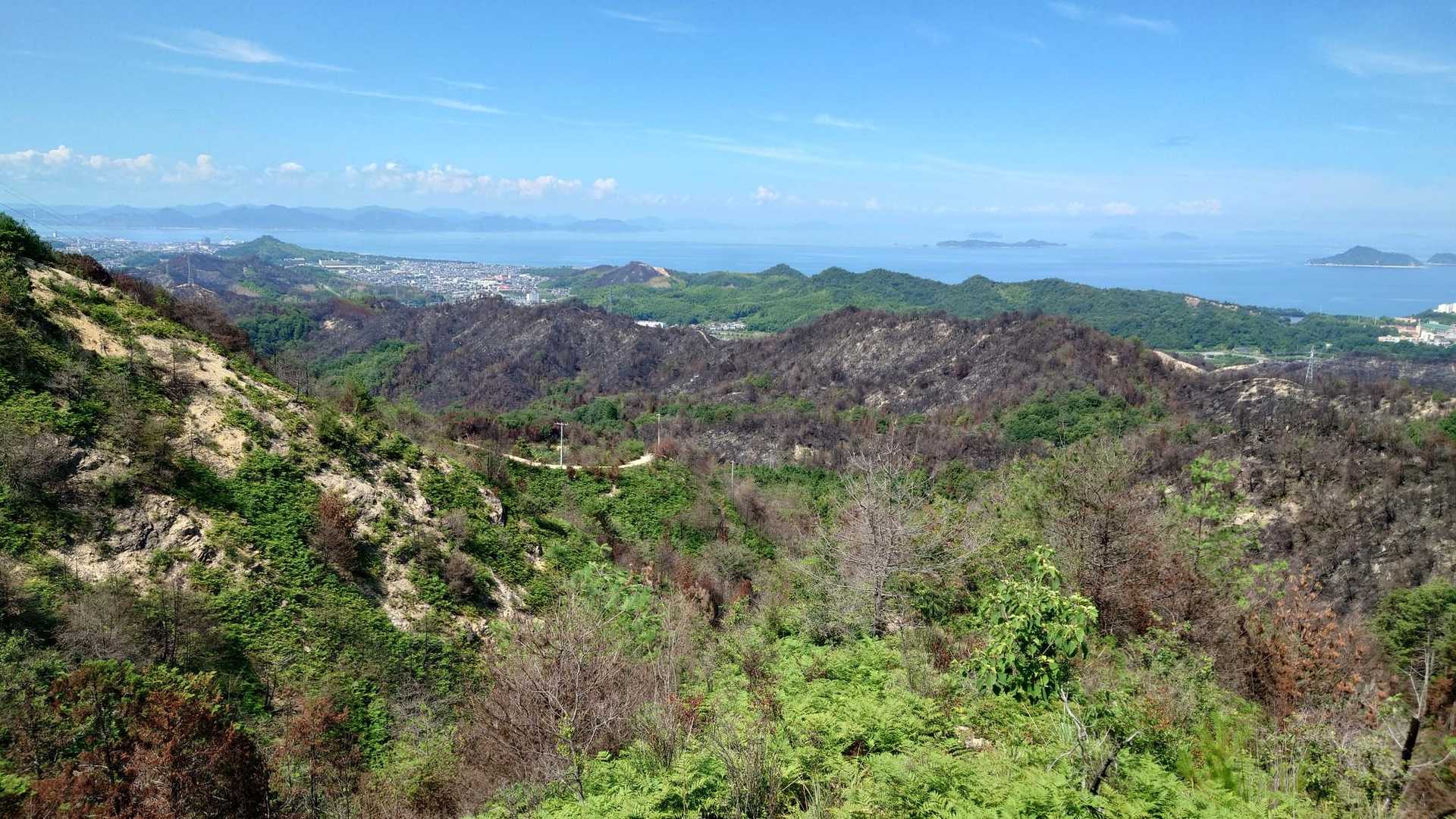 今治市街