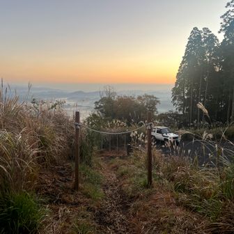 小林盆地は朝霧に包まれています。
鳥居を潜って登山開始。