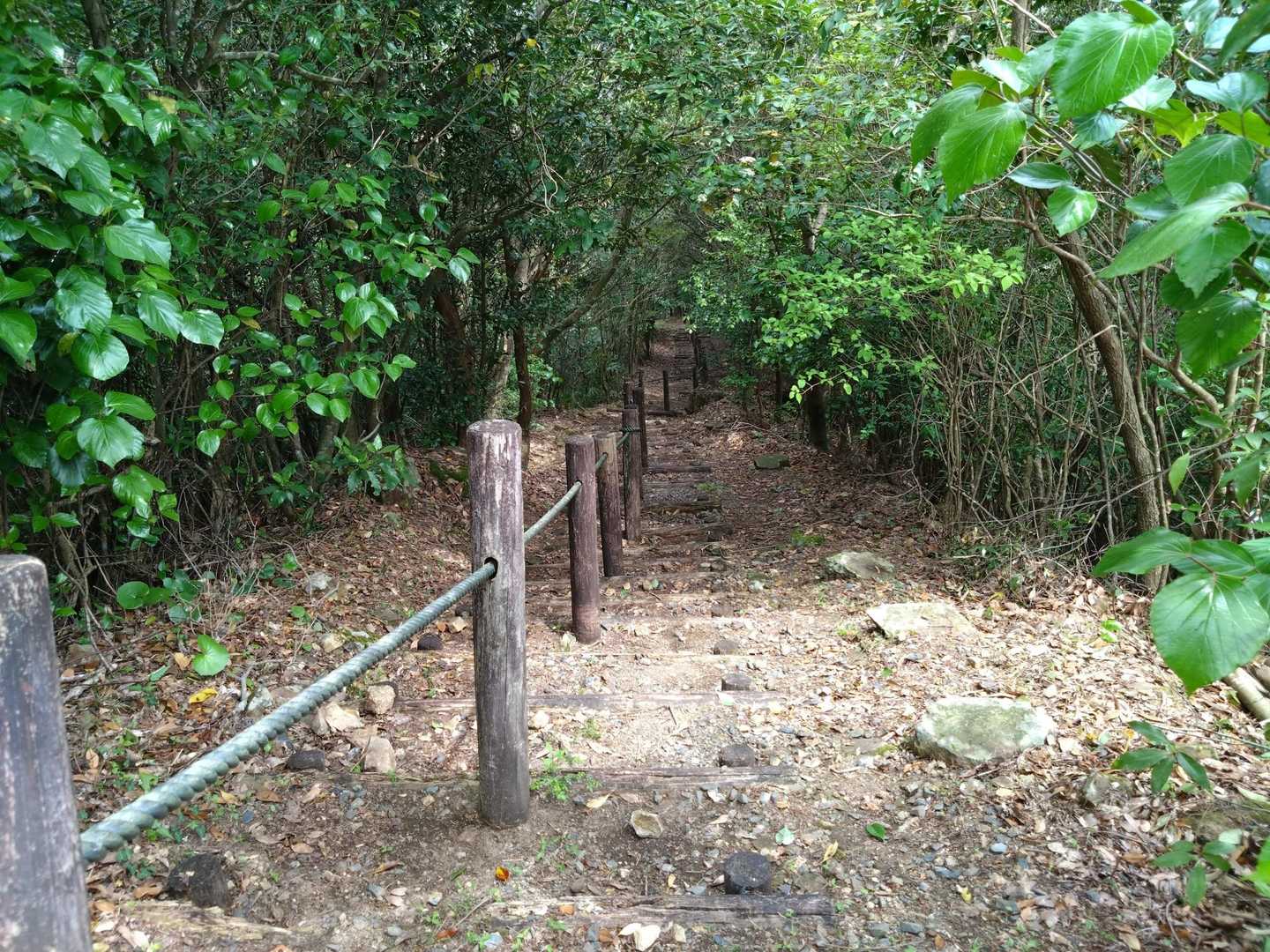 階段下りまーす🚶🚶🚶💨