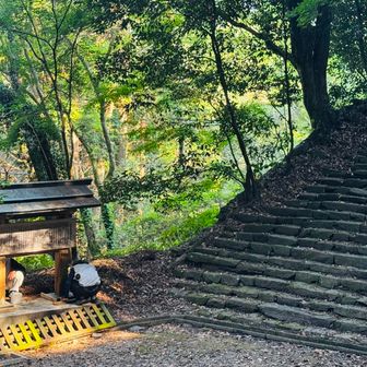 修復？作業中。お疲れ様です。