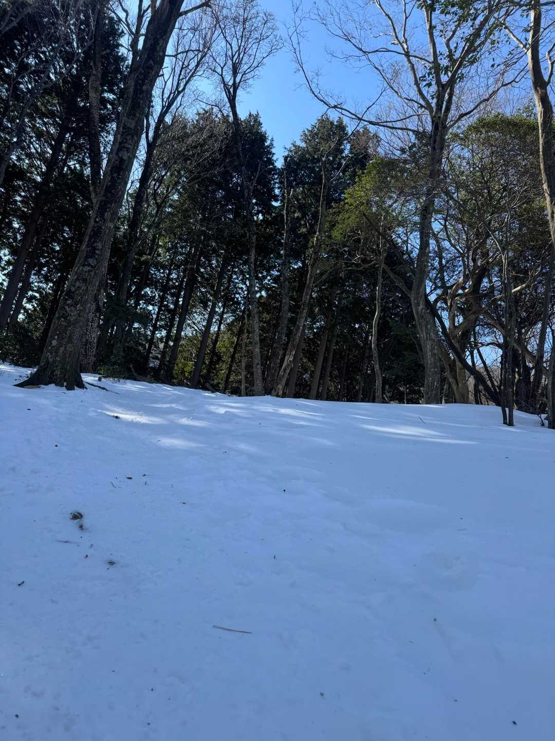 三方山 周回コースの写真