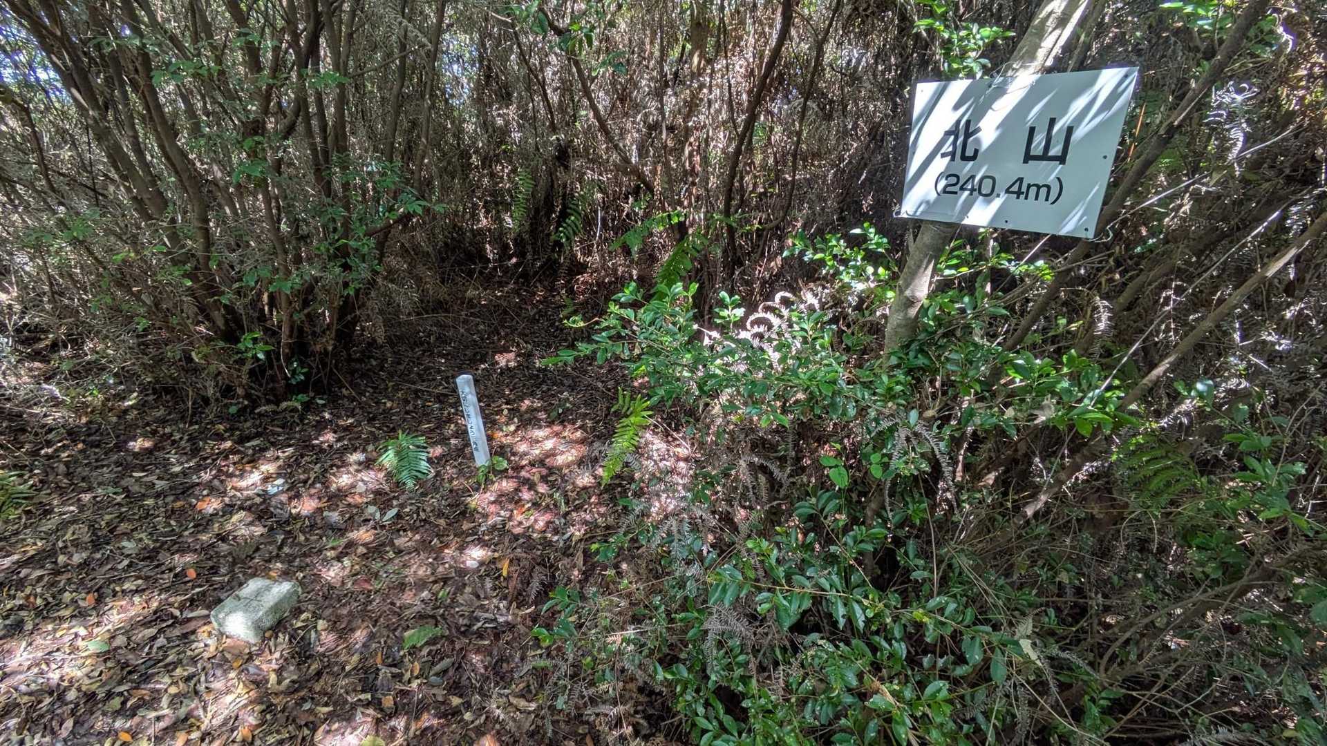 北山到着 🙌✨