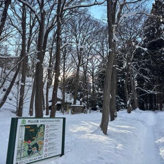 登山口

昨日地下鉄でゲキ転びしました

靴紐が片方の靴のフックに引っかかり両足首がロックされました
マイケルのダンスが失敗した形になり、床に叩きつけられました
周りに人がたくさんいて驚かせてしまった💦
両手は直ぐに出たものの勢いとGがかかった体重を支えられず右肘を強打
しばらく痺れて痛かった
血も出た
翌日も体液出て服が濡れた
右骨盤強打　右膝も打っていた　右肩が痛む

今季3回目
靴のフックには気をつけなくては…

とうとうウエアーもお気に入りのARCのオクタも穴が空いてしまった…