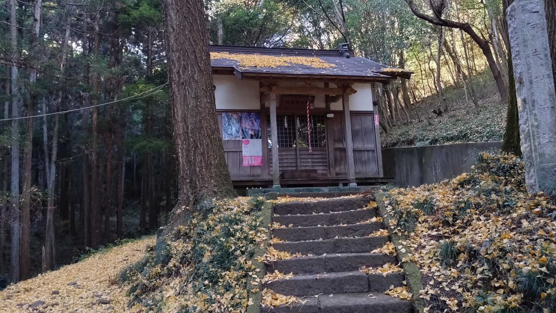 妙義山-越床峠-大坊山 周回コースの写真