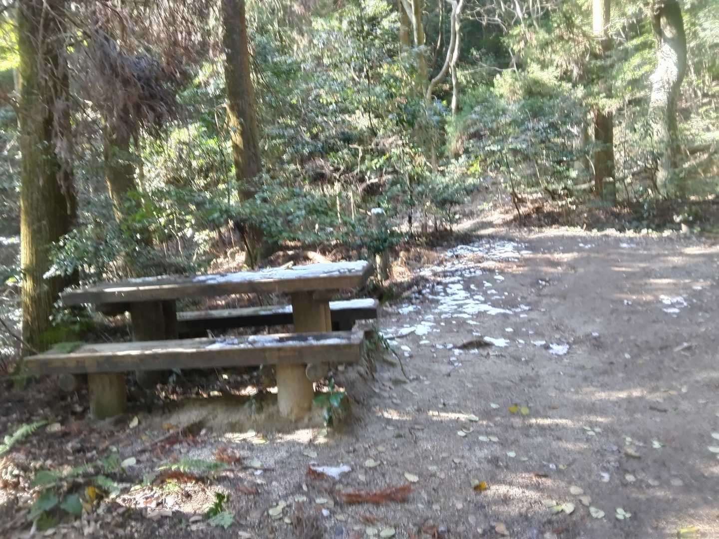 土器山 往復コースの写真