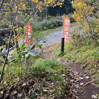 ゴール
最後の一歩でHanaさん
転倒⚠️
😳