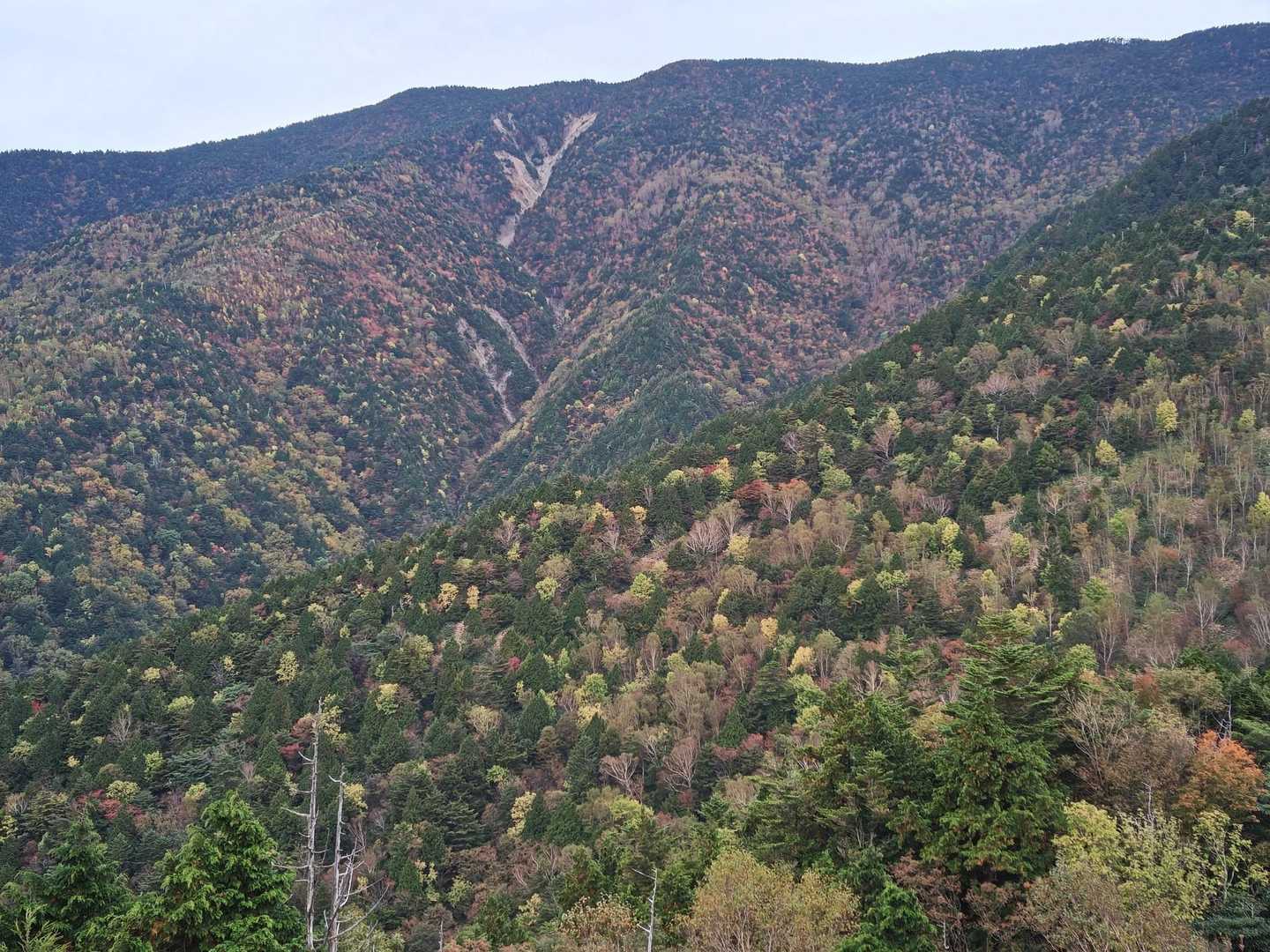恵那山の山肌も色づいてきていますね。