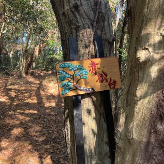 なんか？ポイントが