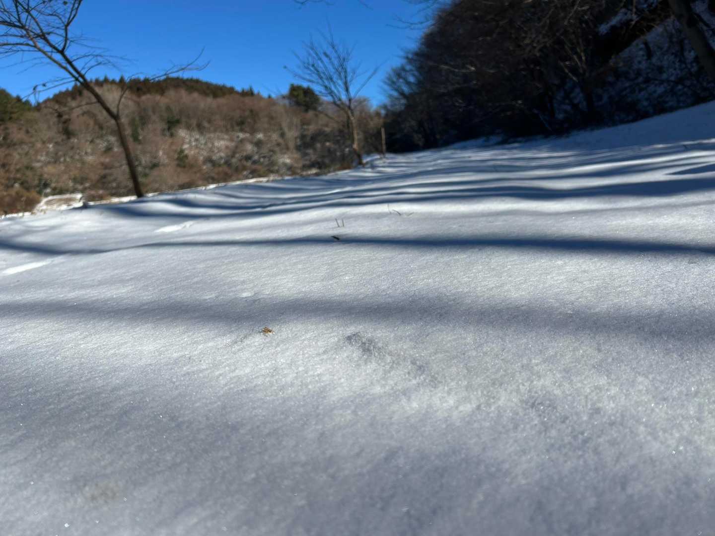 雪はなぜ白いのか

雪の結晶の一つ一つは透明ですが、雪は細かな結晶が多数集まってできているため、光を曲げて反射します。 

そこで反射された光が、また別の結晶によって反射され、そしてまた別の結晶で反射される。 

このように雪の内部で光が乱反射しているため、白く見えるらしい。

