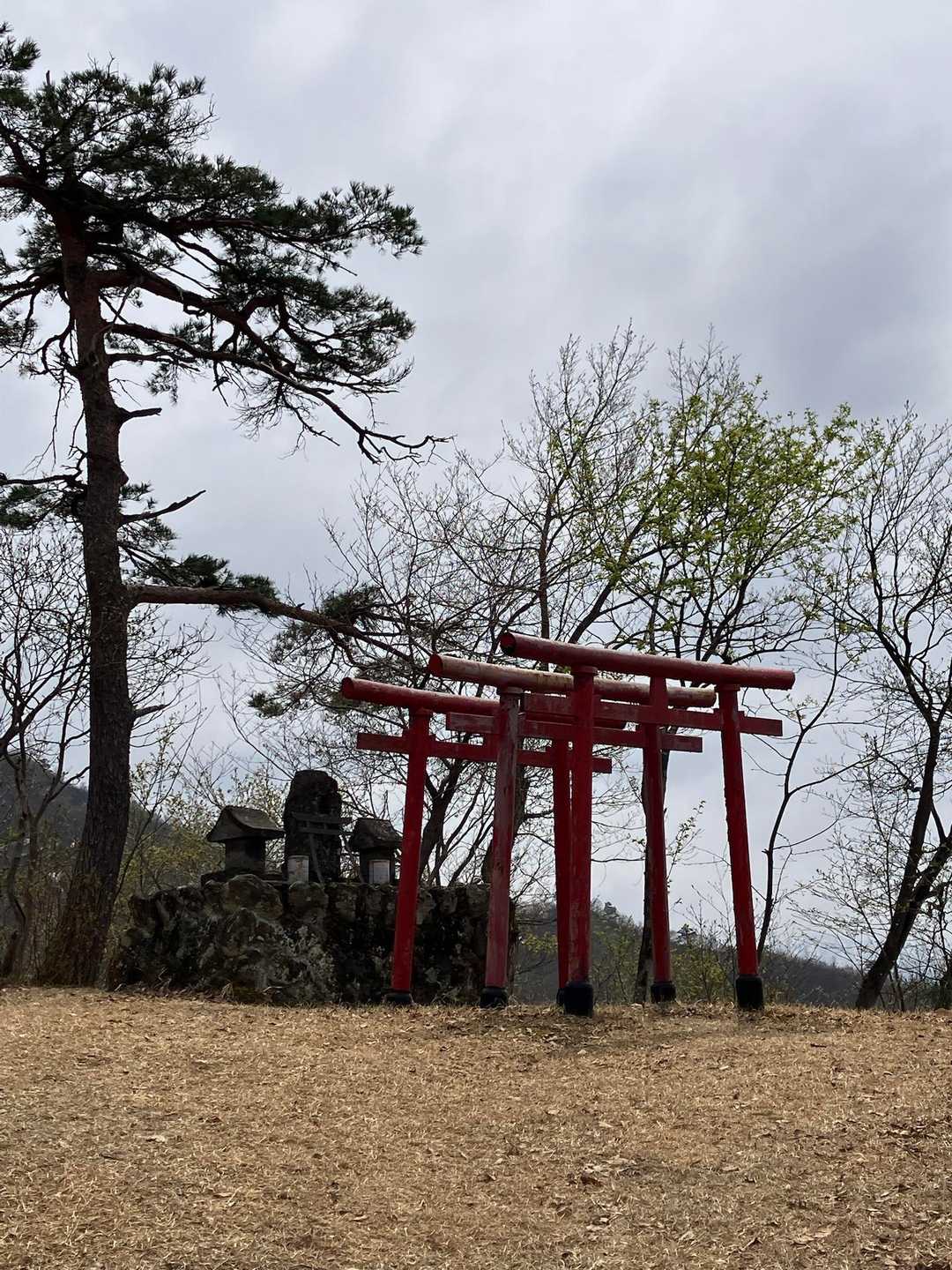 三つの鳥居⛩️    🙏