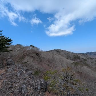 そこからの展望