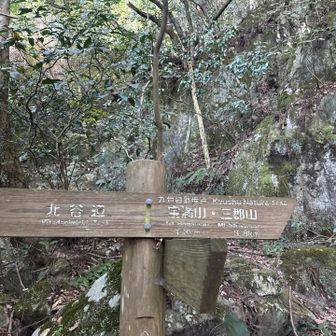 水場でも休憩せず淡々と…ただ淡々と…
今日は体調がナナメ😑