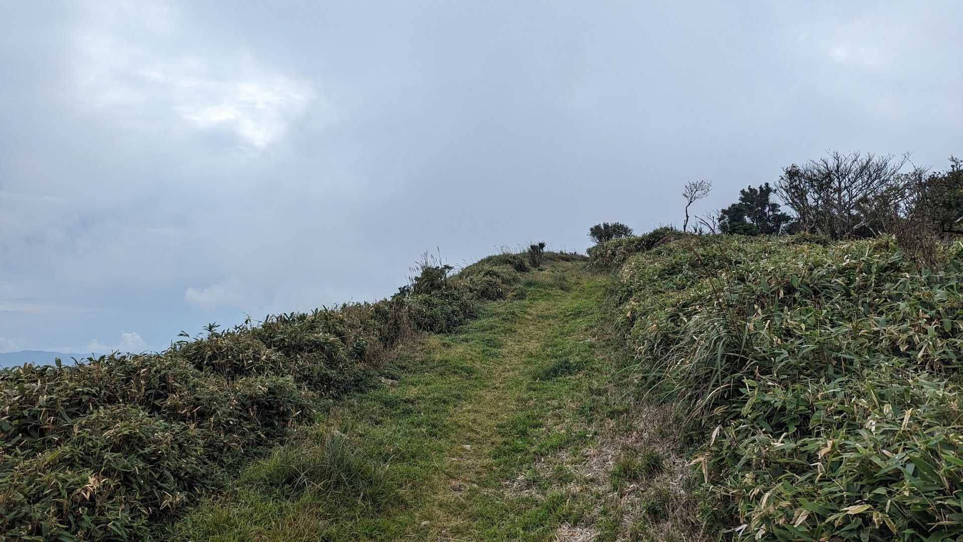 登山口はとても歩きやすい。
