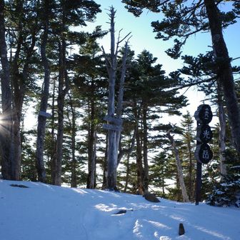 おそらく普通に百名山に来た中で1番キツかった山行です笑
もう1つはGWの白馬の大雪渓(猿倉から終始12アイゼンでの大雪渓は本当にキツかった…)
他はそうでもないですね〜🫣