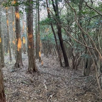 向こうへ下山します！