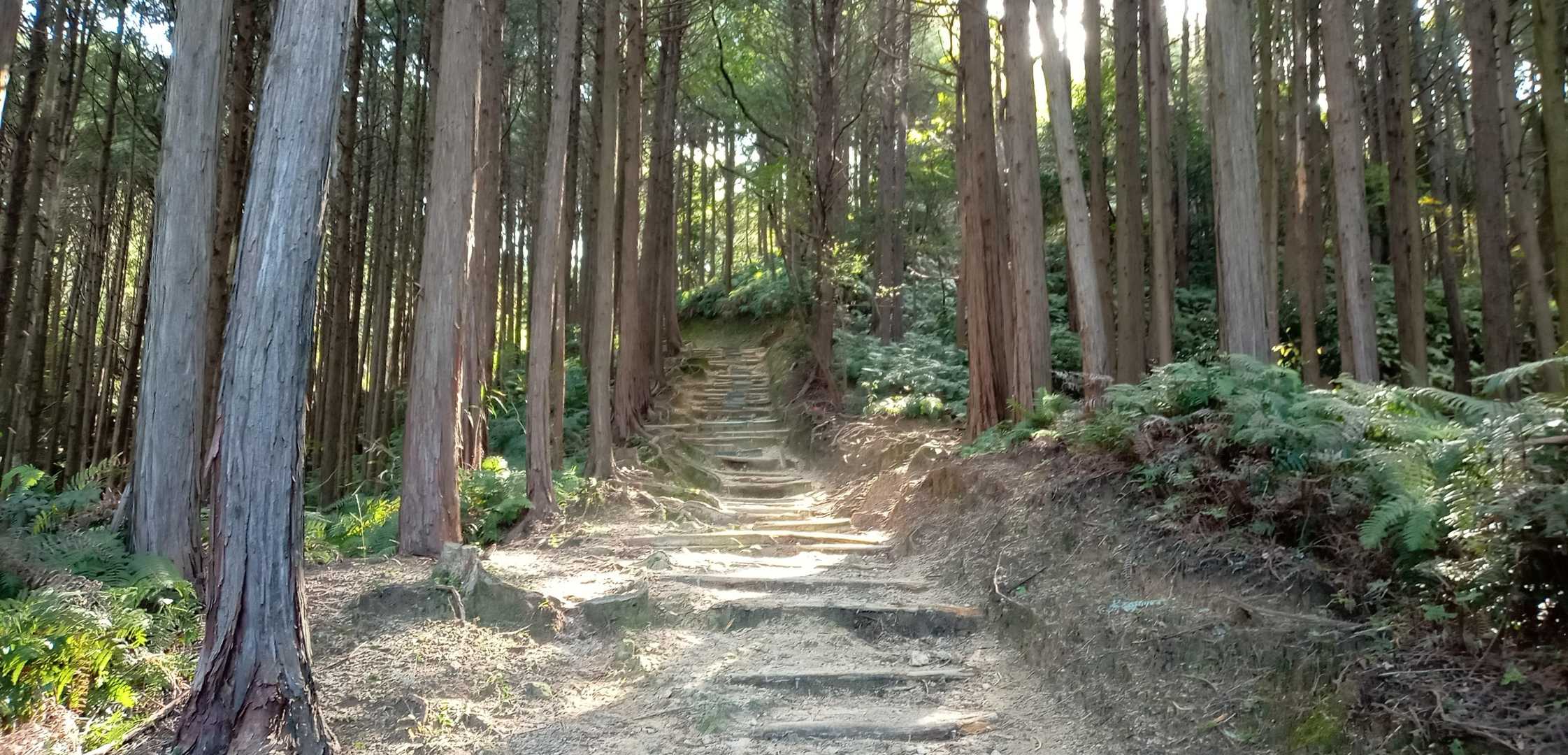 よろしくお願いします！