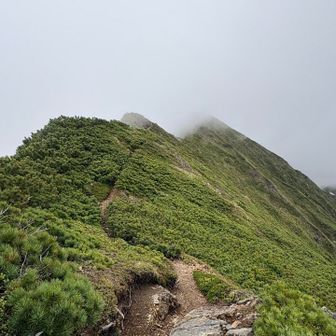 最高点までの稜線