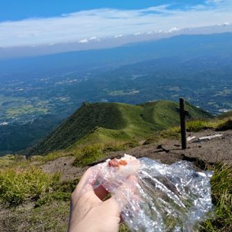 格別の美味しさ