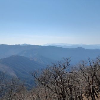 遠くに尖がった山が大普賢岳、みたい。