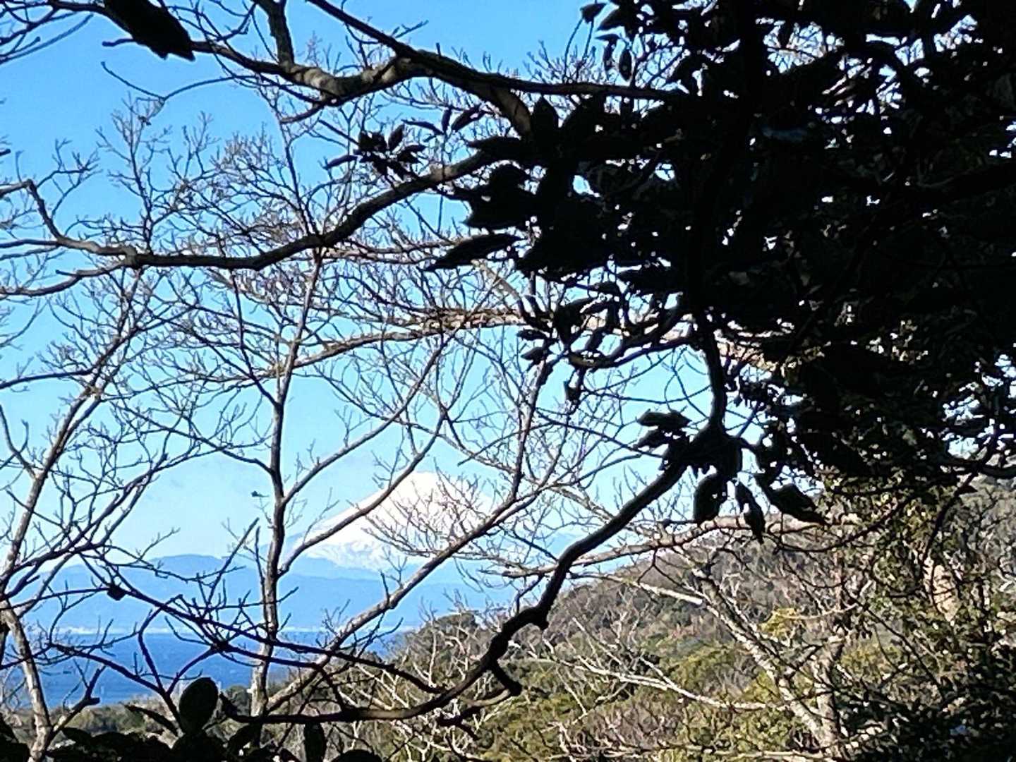 昨日は雪だったので、今日は快晴。富士山が綺麗！