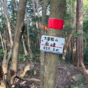 大曽根山(南峰)に登頂🎉